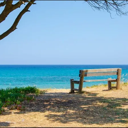 Apartamento A Caserella Entierement Renove Avec Terrasse Et Vue Panoramique Sur