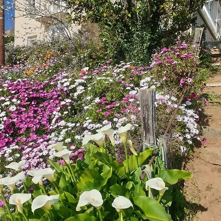 A Caserella Entierement Renove Avec Terrasse Et Vue Panoramique Sur Apartamento