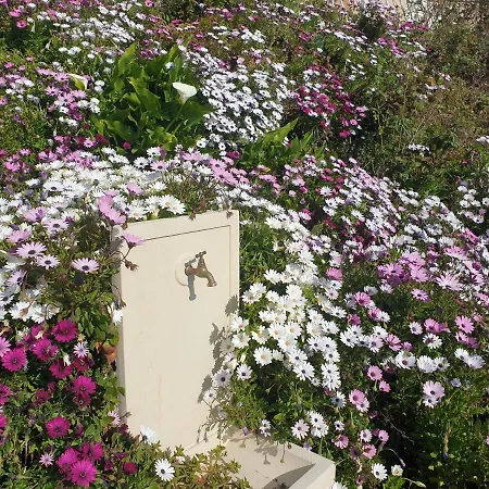 A Caserella Entierement Renove Avec Terrasse Et Vue Panoramique Sur