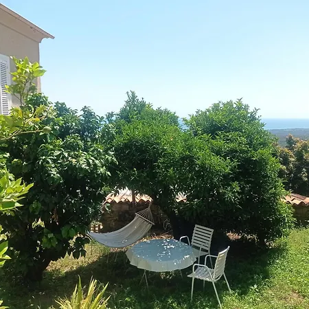 Apartamento A Caserella Entierement Renove Avec Terrasse Et Vue Panoramique Sur *