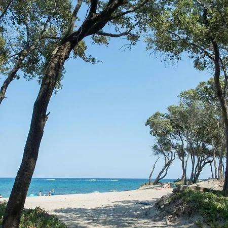 A Caserella Entierement Renove Avec Terrasse Et Vue Panoramique Sur Valle-di-Campoloro