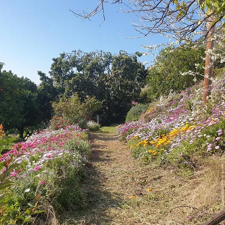 A Caserella Entierement Renove Avec Terrasse Et Vue Panoramique Sur Apartament *
