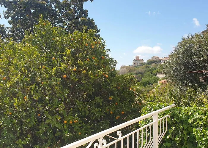 A Caserella Entierement Renove Avec Terrasse Et Vue Panoramique Sur Lägenhet Valle-di-Campoloro