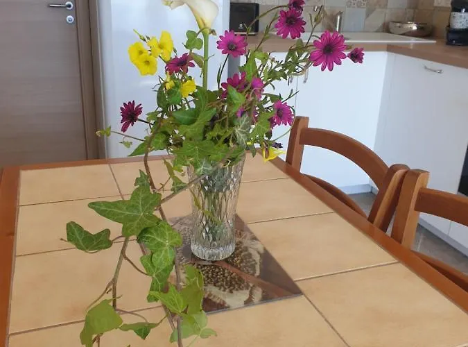 A Caserella Entierement Renove Avec Terrasse Et Vue Panoramique Sur Valle-di-Campoloro