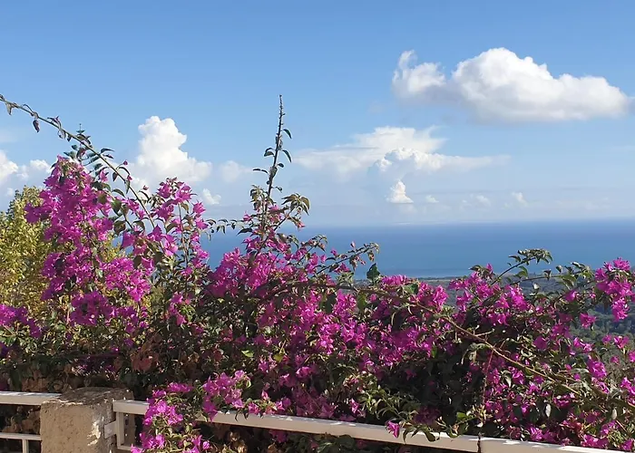 Daire A Caserella Entierement Renove Avec Terrasse Et Vue Panoramique Sur Valle-di-Campoloro