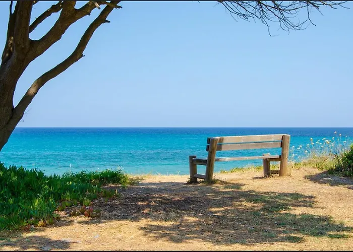 Daire A Caserella Entierement Renove Avec Terrasse Et Vue Panoramique Sur