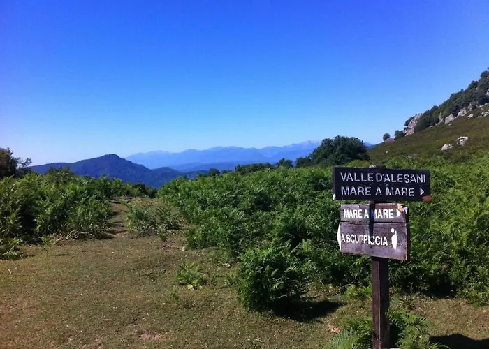 Daire A Caserella Entierement Renove Avec Terrasse Et Vue Panoramique Sur *