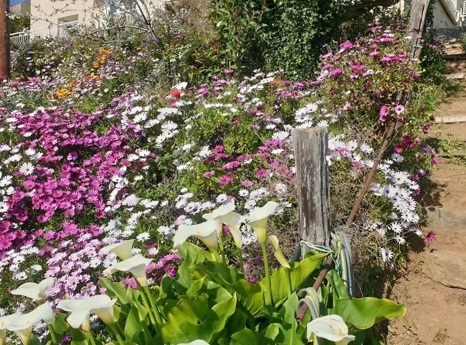 A Caserella Entierement Renove Avec Terrasse Et Vue Panoramique Sur Daire