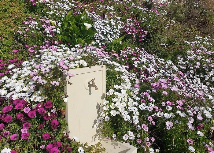 A Caserella Entierement Renove Avec Terrasse Et Vue Panoramique Sur