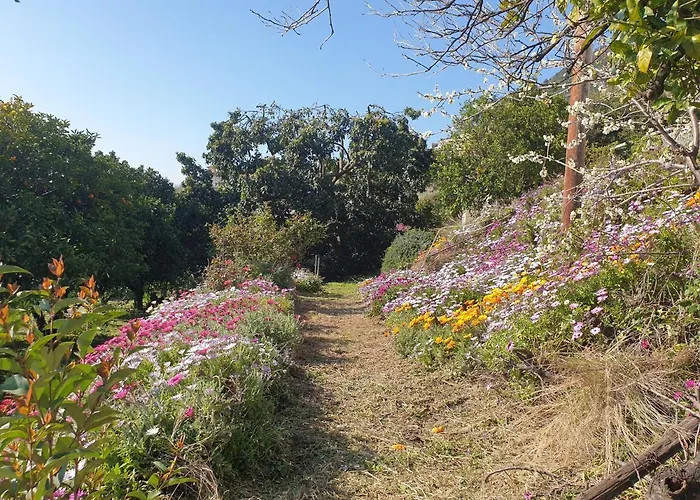 A Caserella Entierement Renove Avec Terrasse Et Vue Panoramique Sur Daire *