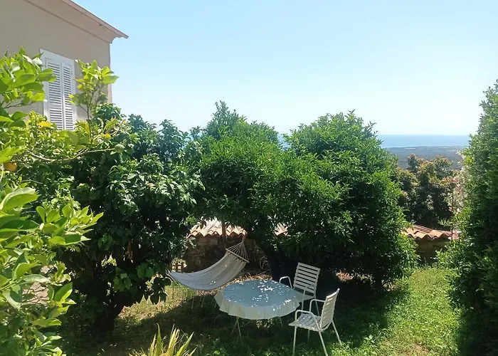 Daire A Caserella Entierement Renove Avec Terrasse Et Vue Panoramique Sur *